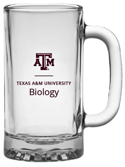 TAMU Biology Beer Stein